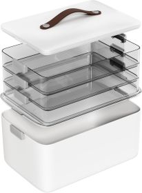 4-Tier Medicine Organizer Storage Box, Portable Latch Bin with Lid and Leather Handle, Cabinet Closet Organization for Home Office, Pill Bottle